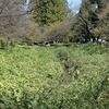 丸山公園内の水路と何かの施設