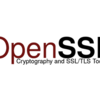【OpenSSL】オレオレ（自己署名）証明書を作成する（EC2）
