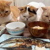 食べそびれたホッケと新聞の良い仕事