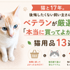 猫と17年。後悔したくない飼い主さんへ！ベテランが厳選する「本当に買ってよかった」猫用品13選