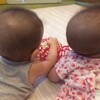 【双子育児】生後６カ月の赤ちゃんの様子