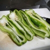 梅雨の終盤に野菜と接する。
