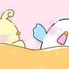 【今日のばーど】すやすやお昼寝