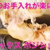 愛犬のリラックスポジションを学んだのでお試し【犬のしつけ】