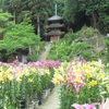 ２０２５年　夏の風景 ⑤