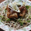 冷やし肉蕎麦（成城石井『挽きぐるみそば』）