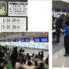 岡崎市スポーツ少年団交流会