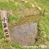 のと暮らし……「棚田」の米は「信じられないくらい」ふっくらして