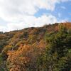 飯盛山から叶岳…名残の紅葉を見てきました…