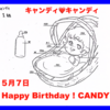 ✨Happy Birthday！ Candy✨ 5月7日