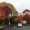 紅葉の季節