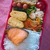 昨日と今日のわりと高蛋白質な弁当