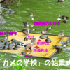 袖ヶ浦公園の近況