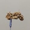 アカデミー1/35 サイドカー その2