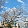 (巻四十三) 諦めの早さが取得大朝寝(あらゐひとし)