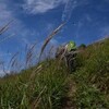 白露の土佐矢筈山遊山　山頂