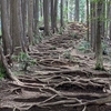 高水三山～奥多摩で三山縦走の醍醐味を