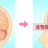 疲れの原因は脳にある！