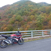 バイク GSX250R ダムと紅葉・・