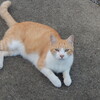 2024-10-08(Tue)