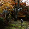 勝持寺～花の寺～