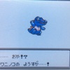 VC ポケモンクリスタル プレイ状況日記（2）