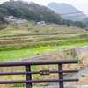 中祖 淡路守　なかそ あわじのかみ