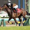 キタサンブラック武豊騎手「勝たなきゃいけない馬だと思っています」/天皇賞(秋)共同会見