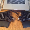流行りにのってErgoDox EZを買ってしまった