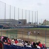 ファーム観戦