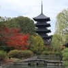 京都「東寺」紅葉　2022