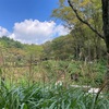 六甲高山植物園にて