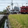 和歌山電鐵貴志川線の踏切は何箇所あるのか　日前宮駅〜竈山駅　Part.3   【たま電車　うめぼし電車】