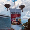 【ライブ】JAPAN JAM以来40年ぶりのサザンオールスターズ@東京ドーム(長編)