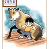 戦争を知らない世代へ│『カノン』で手塚治虫が描く記憶と喪失