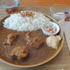 はらっぱカレー店のチキンカレー＠中央区役所前