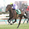 古馬牝馬 マイル王決定戦 - 2022 - ヴィクトリアマイル - トピックス