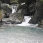 雨子