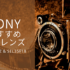 【海外旅行におすすめ】ソニーの軽量レンズの紹介 (SEL1670Z / SEL35F18)