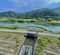宮ヶ瀬湖水の郷親水池（神奈川県清川）