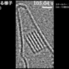 結晶の誕生 初めて観察された析出の瞬間｜Science Portal動画ニュース（2021年9月27日配信）