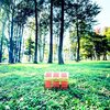 【やってみようのコーナー】【素人大喜利】魔王の手から世界の人々を守るために勇者パーティーは旅立った。パーティーは勇者、ファイター、白魔術師、そして賢者の４人だ。冒険は順調に進み、モンスターの魔の手から多くの人々を救うことに成功していた。しかし賢者はずっとあることが言えず苦悩していた。勇者の装備品が賢者の美意識に反するのであった。果たして勇者はどのような装備をしていたのか？