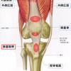 膝のお皿の上が痛む人必見！