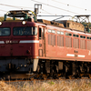 2024/04/13 単8056レ EF81 404号機