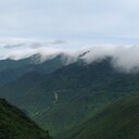 とくしま・やまだより