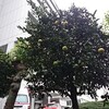 ひと区切り