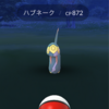 ハブネークゲットできた〜！