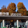 クマたちの丘　住人はのんびりと