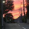 良くなっている体調と4kmウォーキング