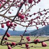 ようやく産休へ。